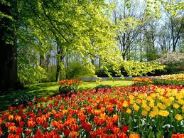 gardens in holland