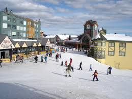 big white