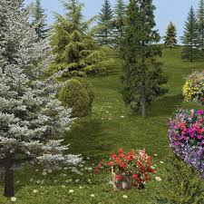 pictures of plants and flowers
