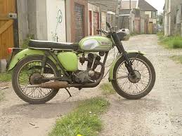 tiger cub triumph
