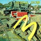 Frenzal Rhomb - Big Brother