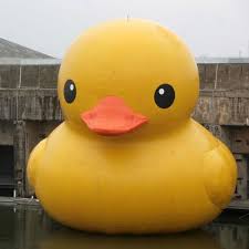 rubber duck