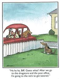 far side galleries