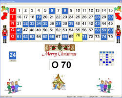 bingo software