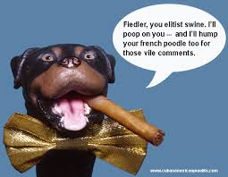 comic the insult comic dog