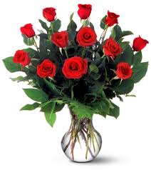 pic red roses