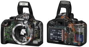 canon d 1000
