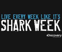 shark week shirts