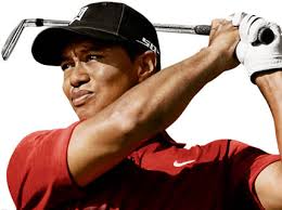 Tiger Wood