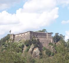 brunella