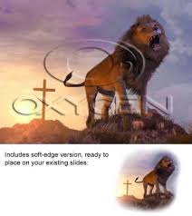 lion of judah
