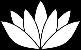egyptian lotus flower