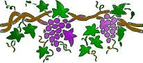 grapevine clipart