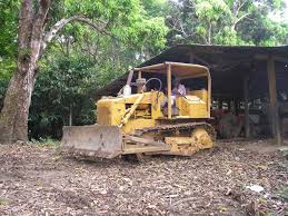 d4 caterpillar