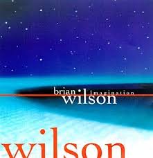 Brian Wilson - Let Him Run Wild