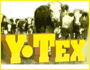 y tex