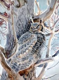big owls