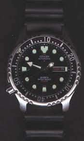 citizen promaster