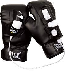 everlast boxing glove