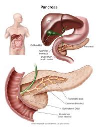treating pancreatitis