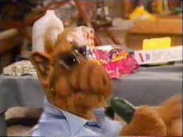 alf the tv series