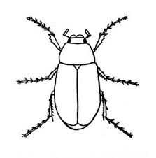 bug coloring page