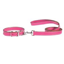 collars and leashes