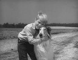 son of lassie