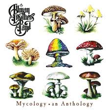Allman Brothers Band - No One To Run With
