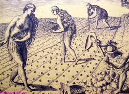 indentured servants