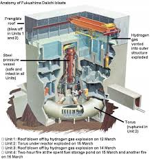 oak ridge nuclear safety company
