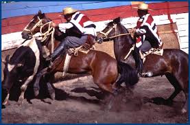 el rodeo
