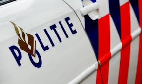 Bekijk de afbeelding op ware grootte