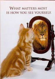 cat looking in mirror sees lion