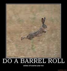 DO A BARREL ROLL - unless of