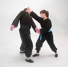 chinese boxing