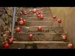 bouncy fruits
