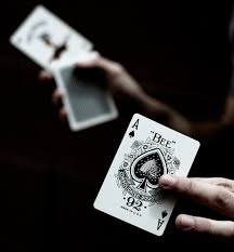 bee stinger playing cards