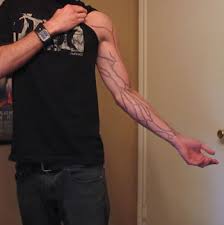 anatomy tattoos