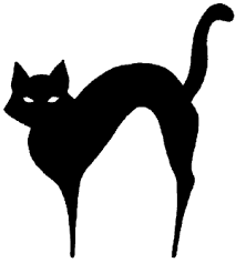 cat tattoo