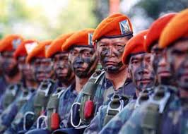 tentara