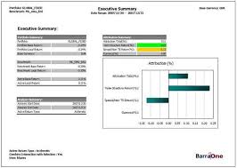 executive summary example