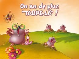 cartes anniversaire humour