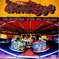 Waterboys - Bigger Picture