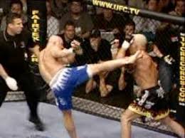 chuck liddell knockouts
