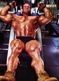 jay cutler