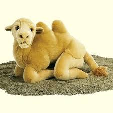 stuffed animal camel