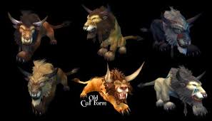 druid tier 8