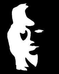 illusion artistique