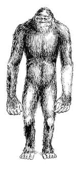 neanderthal shelter